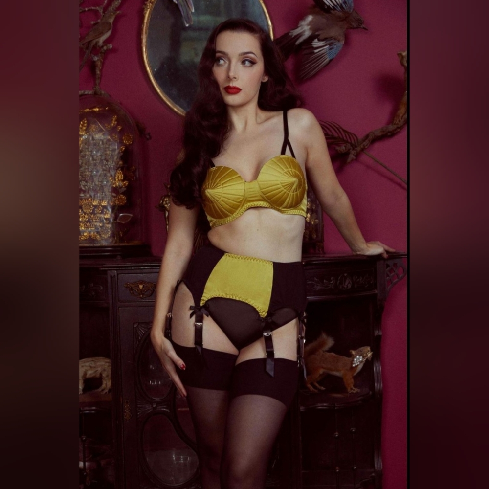 NIP Set of 2- Bettie Page Retro Bullet Bra & Suspender Belt US Womens Size 14